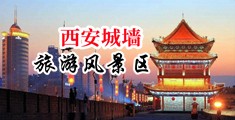 大jb狠狠干我啊啊,,,视频中国陕西-西安城墙旅游风景区