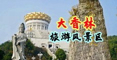 大操逼黑鸡巴视频中国浙江-绍兴大香林旅游风景区